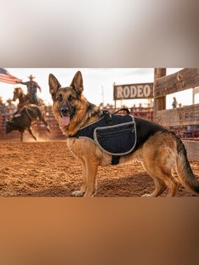 Double Jean Saddle bags with zipper and adjustable straps for dogs